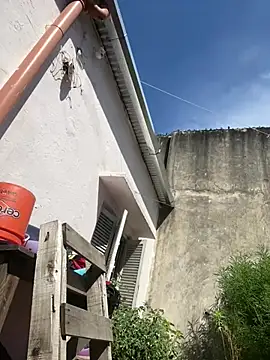 Alicbranca online show from 02.26.26