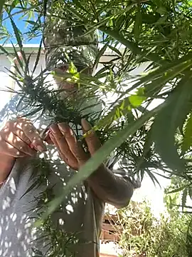 Alicbranca online show from 03.22.26