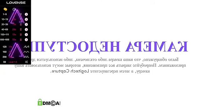 gunter meiner online show from 12.30.24