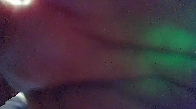 crazyneighbo r online show from 12.02.24