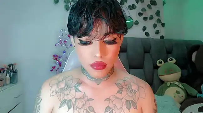 little star porn online show from 12.14.24