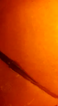 Snapshot of k_lebannon chatting on 12.31.24 k lebannon online show from 12.31.24