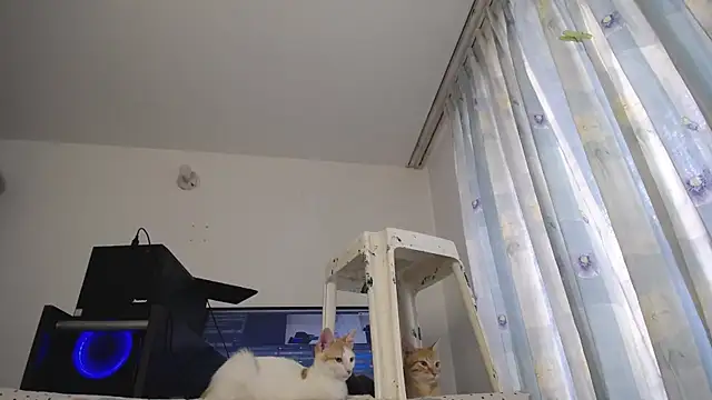 eolicasex online show from 03.07.25