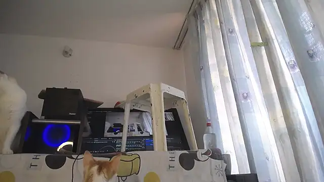 eolicasex online show from 04.04.26