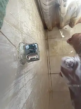 MisaelR10 online show from 09.23.25