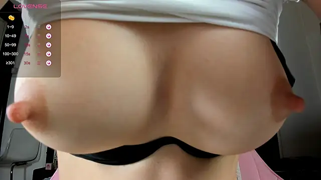 Snapshot of illegal_lorry chatting on 12.20.24 illegal lorry online show from 12.20.24