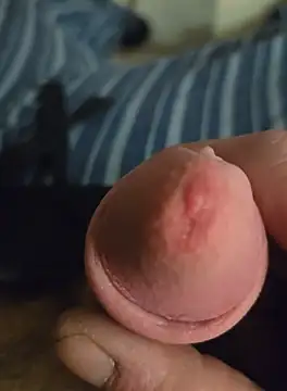 Zauberstab8 online show from 10.18.25