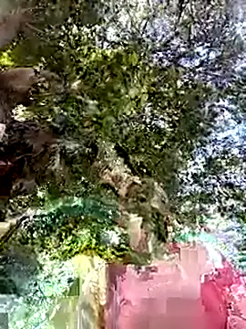 Snapshot of Nicolle_Milf chatting on 09.24.25 Nicolle Milf online show from 09.24.25