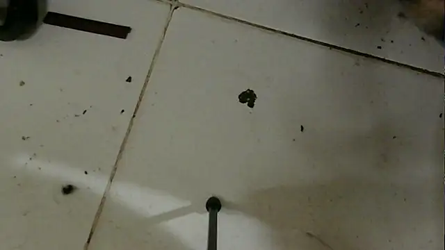 chino roz online show from 02.19.25