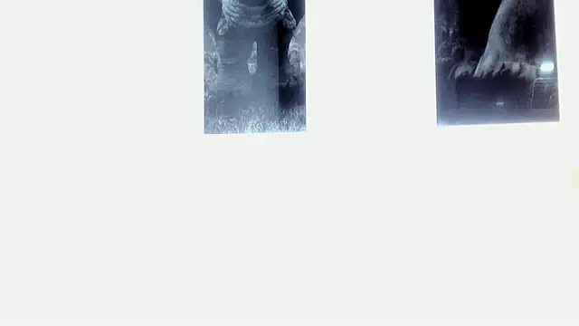 AlexRivera6 online show from 03.17.25