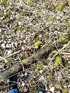 Boring one online show from 03.17.25