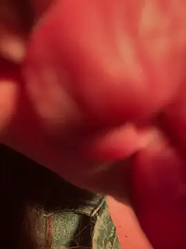 Snapshot of Im_sophiie chatting on 02.13.25 Im sophiie online show from 02.13.25