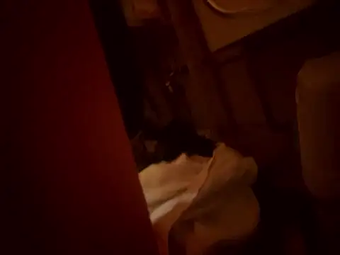 Snapshot of Dannadcz chatting on 03.24.26 Dannadcz online show from 03.24.26