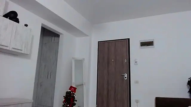 Snapshot of _DylanGreen chatting on 12.27.24 DylanGreen online show from 12.27.24