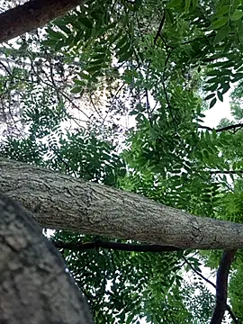 Keli Jessi online show from 09.14.25