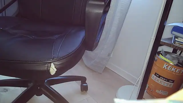 scorviergexh online show from 04.20.26