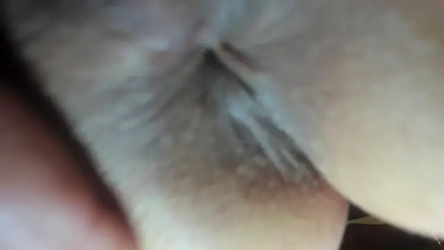 FrumCake online show from 12.21.24