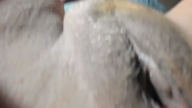 FrumCake online show from 12.27.24