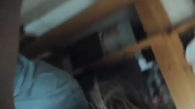 FrumCake online show from 03.05.25