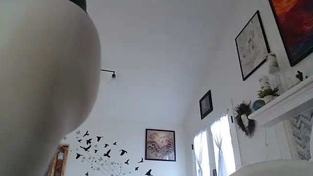 AuroraWillows online show from 01.19.26