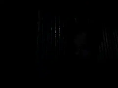 chittagong77 online show from 10.13.25