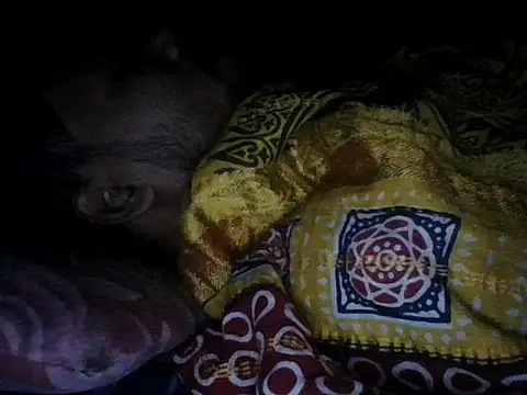 chittagong77 online show from 12.13.25