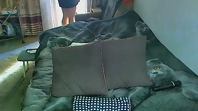 sex2 online show from 09.27.25