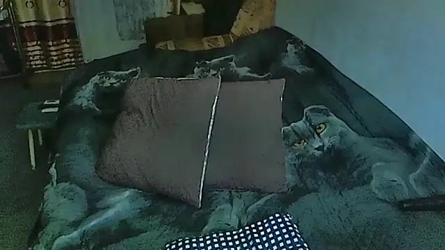 sex2 online show from 10.14.25