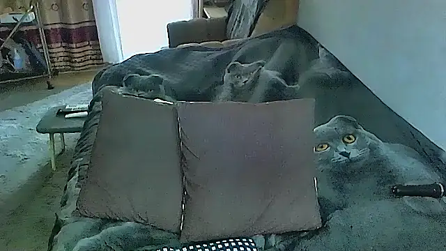 sex2 online show from 10.16.25