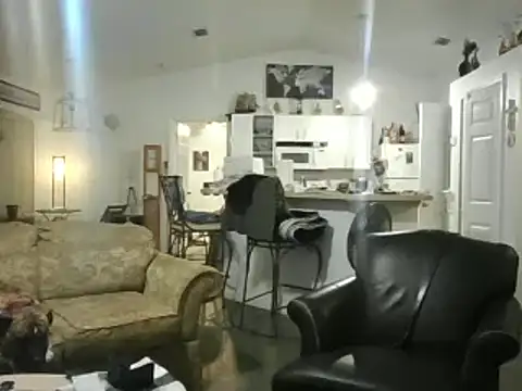 Yankeedave420 online show from 02.17.25