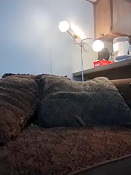 Yankeedave420 online show from 03.16.26