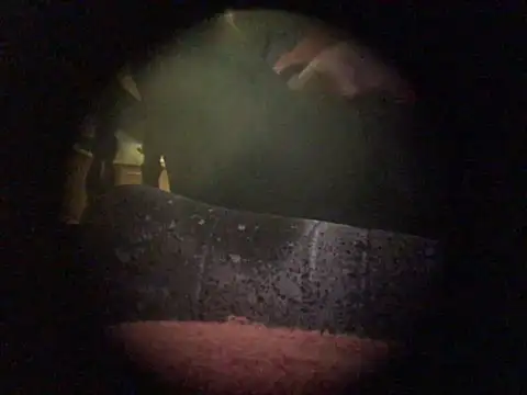 translove online show from 12.09.24