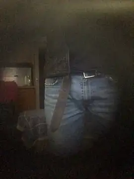 translove online show from 12.16.24