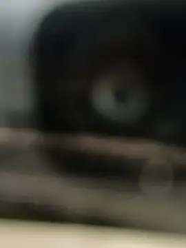 hornydick4you online show from 03.02.25