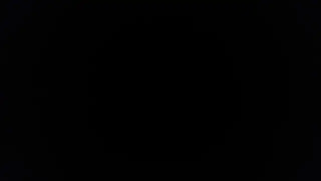 Snapshot of palidin1 chatting on 11.25.25 palidin1 online show from 11.25.25