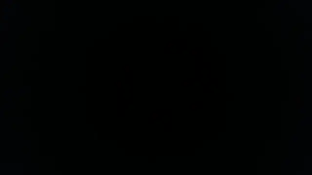 Snapshot of palidin1 chatting on 11.26.25 palidin1 online show from 11.26.25