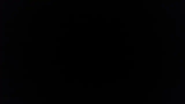 palidin1 online show from 12.05.25