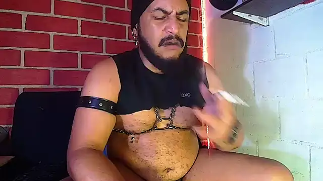 the master foal  online show from 01.12.25