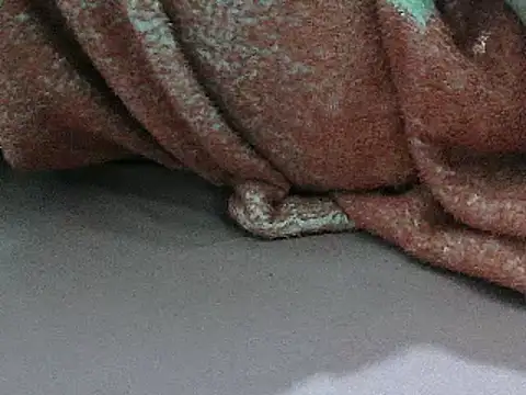 FUN4TIPS online show from 03.02.25