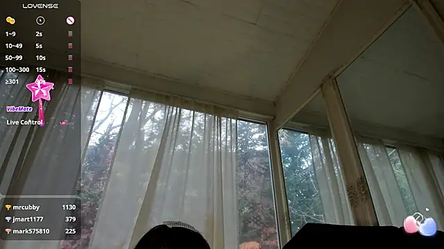 Snapshot of PixieLand chatting on 02.08.25 PixieLand online show from 02.08.25