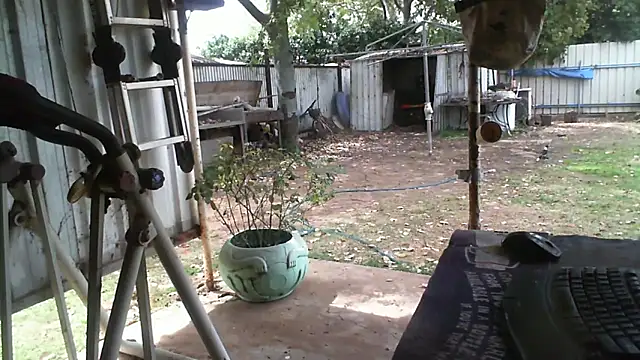 herbie010666 online show from 09.16.25