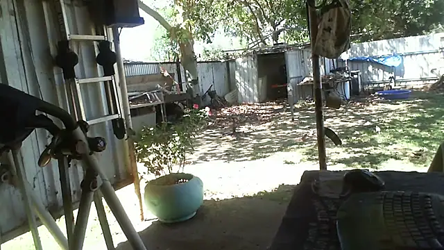 herbie010666 online show from 11.06.25