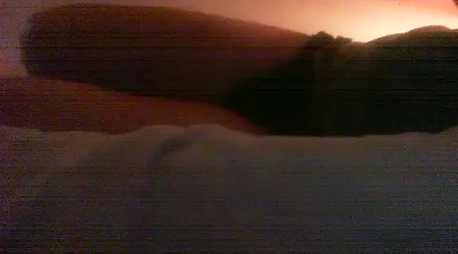 patrasdick94 online show from 02.13.25