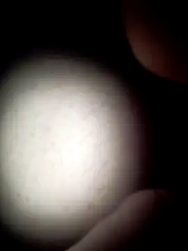 Snapshot of commonjust chatting on 11.26.25 commonjust online show from 11.26.25