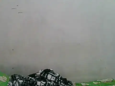 simplewild mom online show from 09.18.25