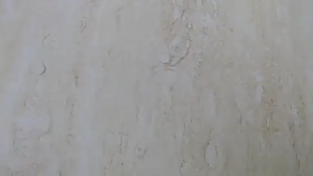 Crazy team  online show from 12.11.24