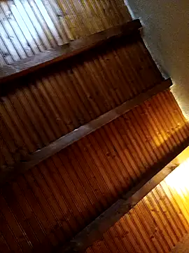 CurlyElisa online show from 12.04.24