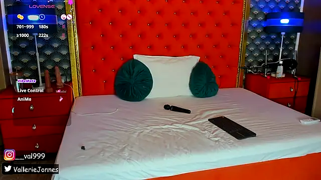 Snapshot of VallerieJones chatting on 11.04.25 VallerieJones online show from 11.04.25