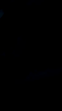 DauergeilMD online show from 01.25.25