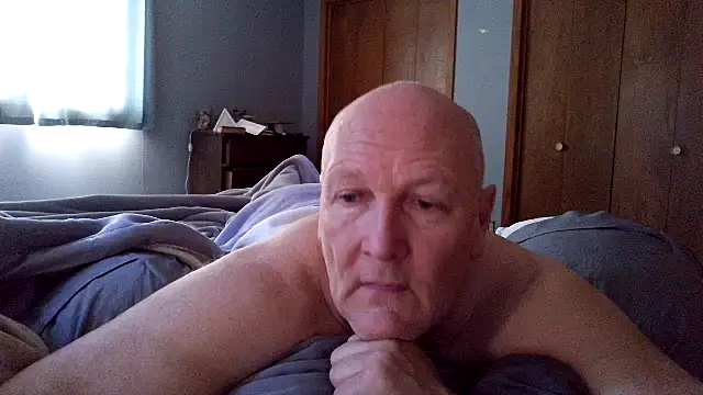 BasicAnt online show from 02.19.26